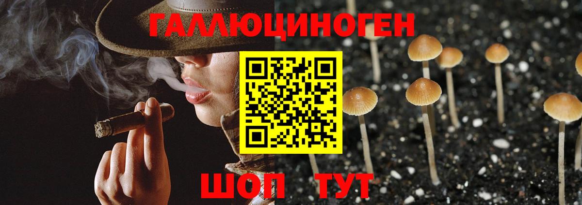 Галлюциногенные грибы мухоморы Можга