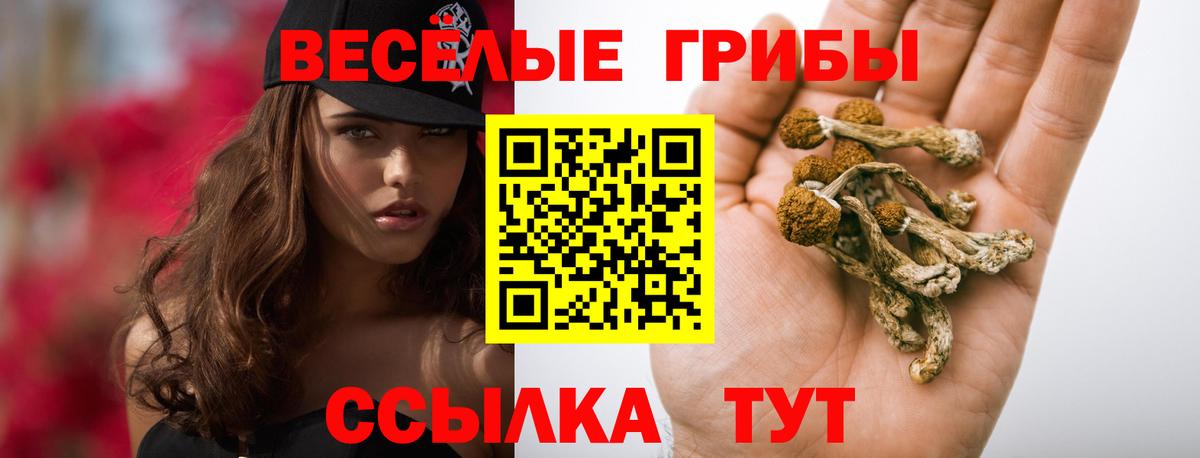 Галлюциногенные грибы Psilocybine cubensis  Вход с VPN  Можга  Галлюциногенные грибы Psilocybe 